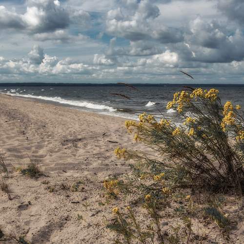 Photo #12531440
