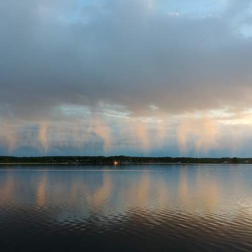 Photo #12531501