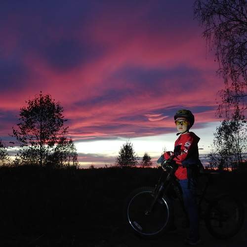 Photo #12531512