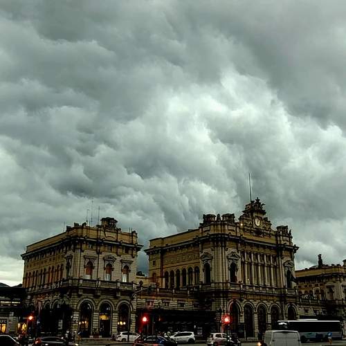 Photo #12531704