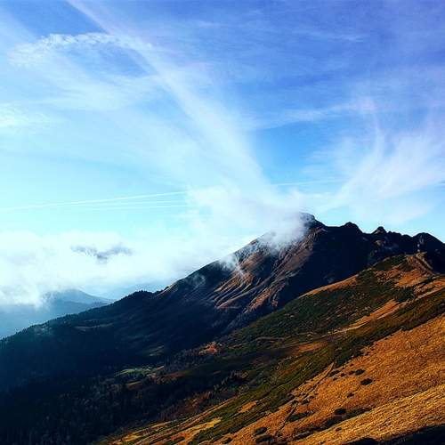 Photo #12531844