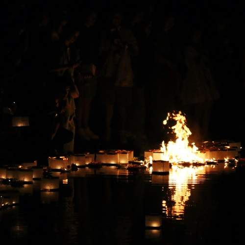 Photo #12531873