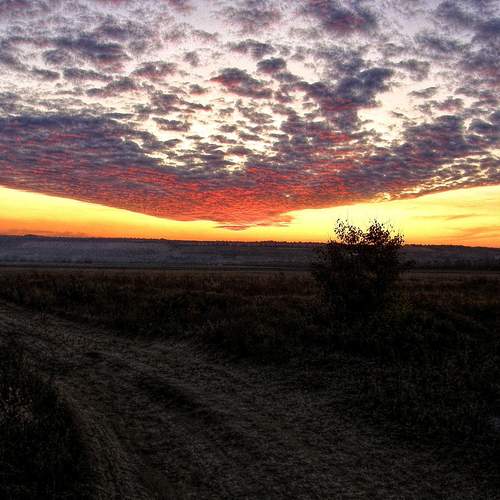 Photo #12531970