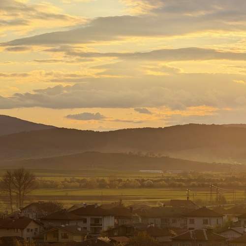 Photo #12532015