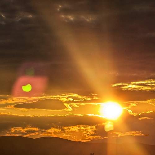 Photo #12532016