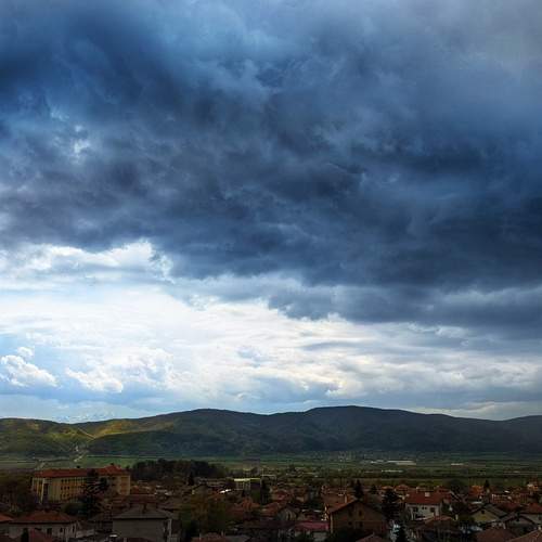Photo #12532017