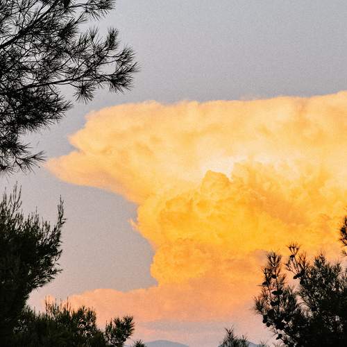 Фотография #12532088