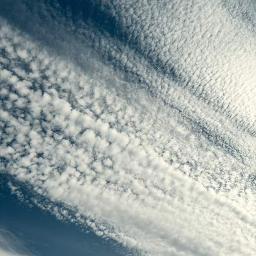 Фотография #12532089