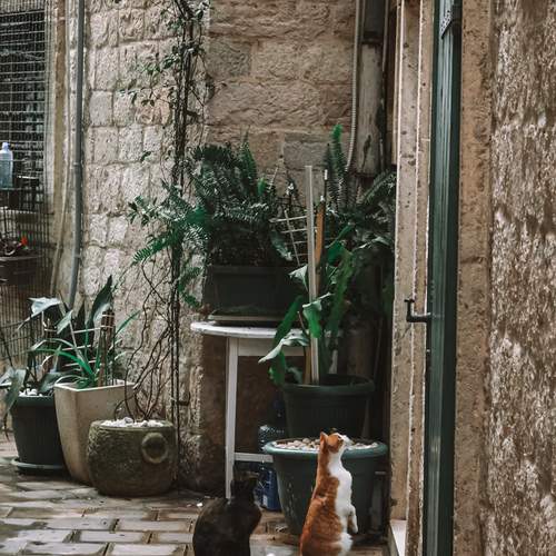 Фотография #12532097