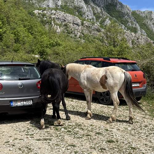 Фотография #12532098