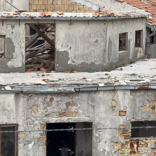 Фотография #12532099