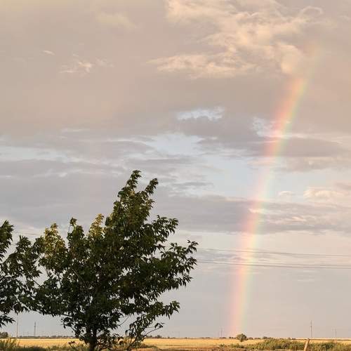 Photo #12532204