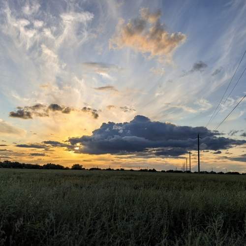 Photo #12532205