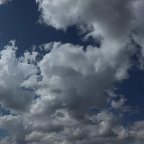 Photo #12532206