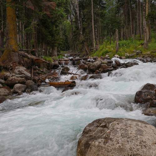 Photo #12532274