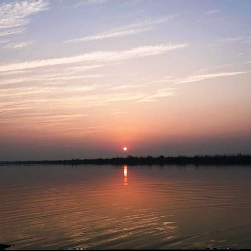 Photo #12532337