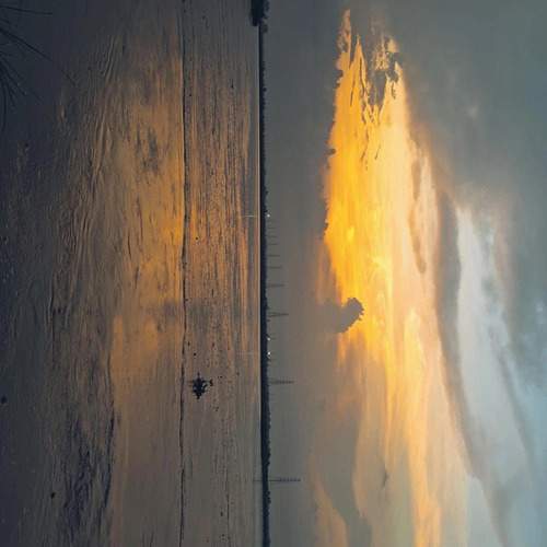 Photo #12532339