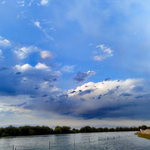 Photo #12532439