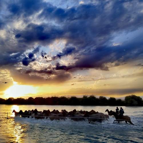 Photo #12532440