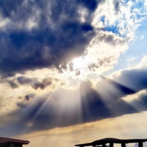 Photo #12532441