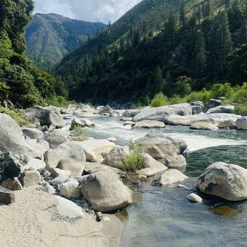 Photo #12532500