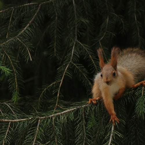 Photo #12532595