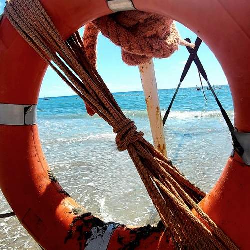 Photo #12532695