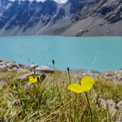 Photo #12532782