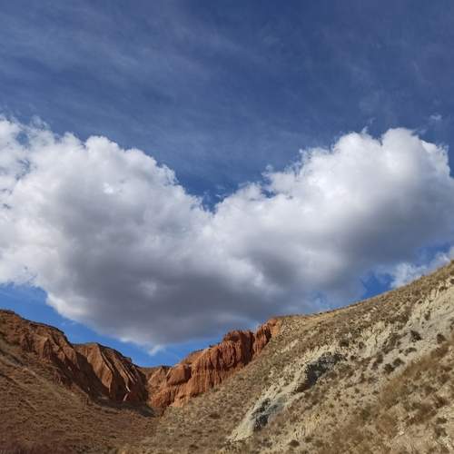 Photo #12532864