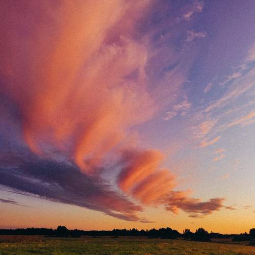 Photo #12533125