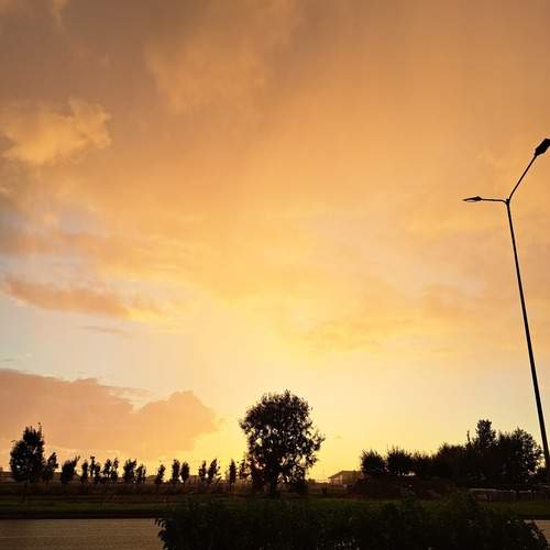 Photo #12533265