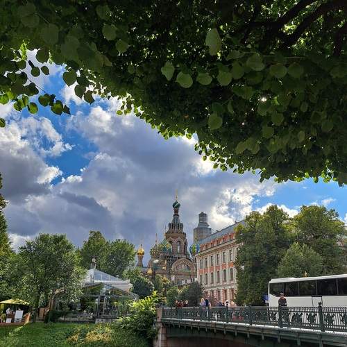 Photo #12533286