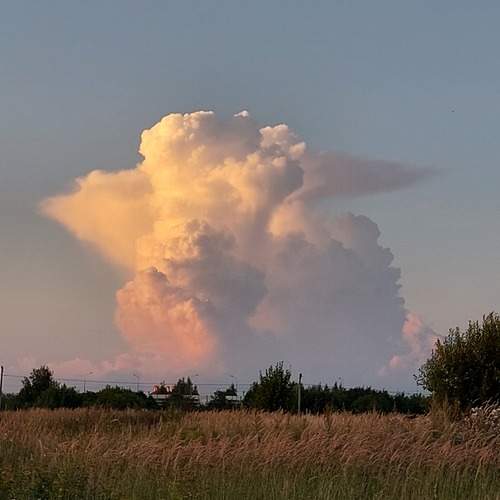 Барашек)