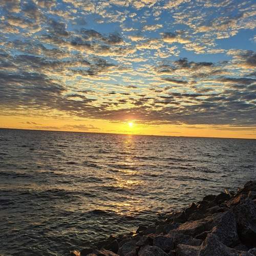 Photo #12533330