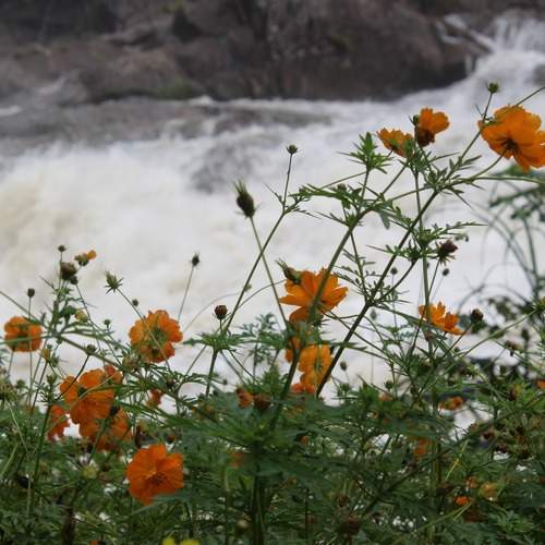 Photo #12533373