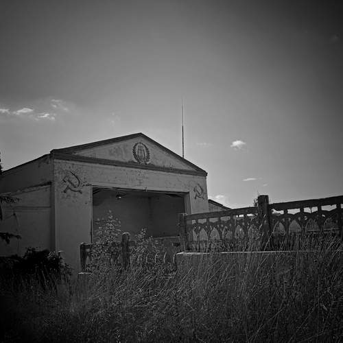 Photo #12533384