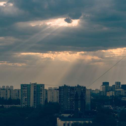 Photo #12533538