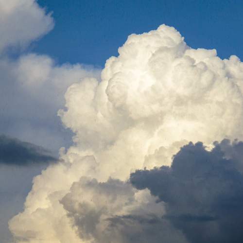Photo #12533710