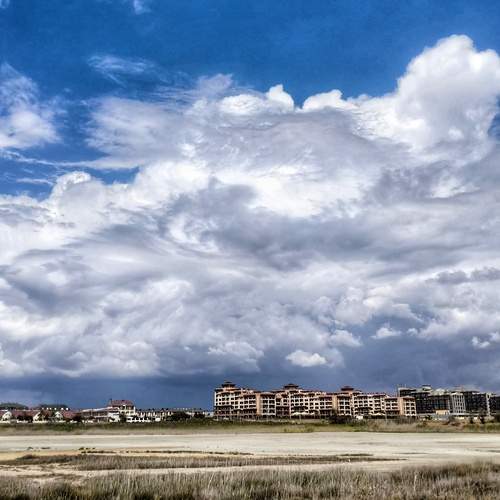 Photo #12533790