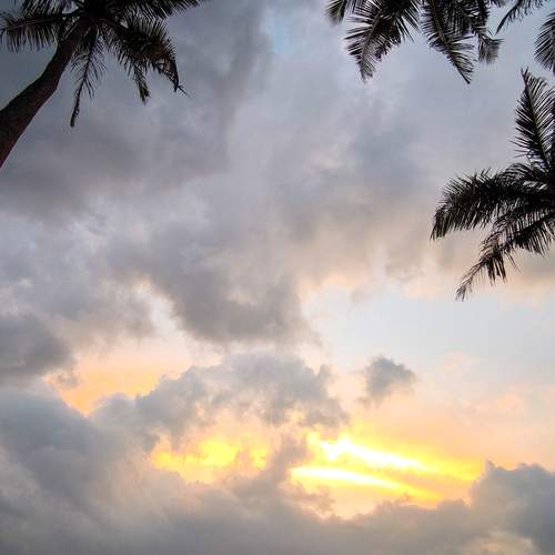 Photo #12534029