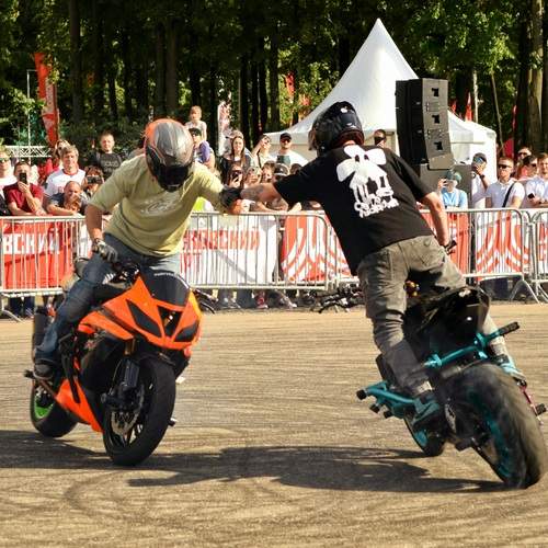 Фотография #12534064