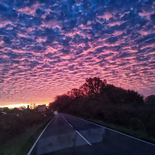 Photo #12534096