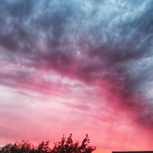 Photo #12534100