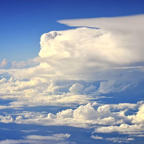Photo #12534111