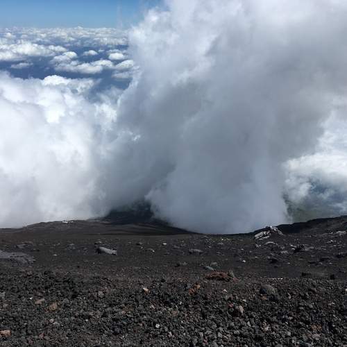 Photo #12534114