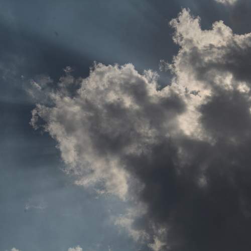 Photo #12534198