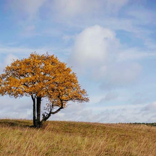 Photo #12534338
