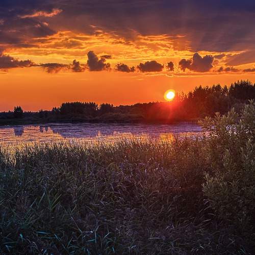 Photo #12534406
