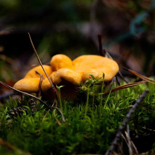 Photo #12534412