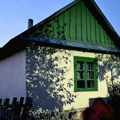 Photo #12534458